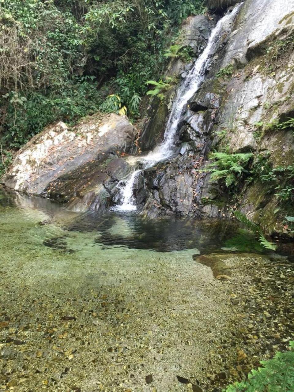 Glamping Finca Margaritas Pluma Hidalgo Extérieur photo